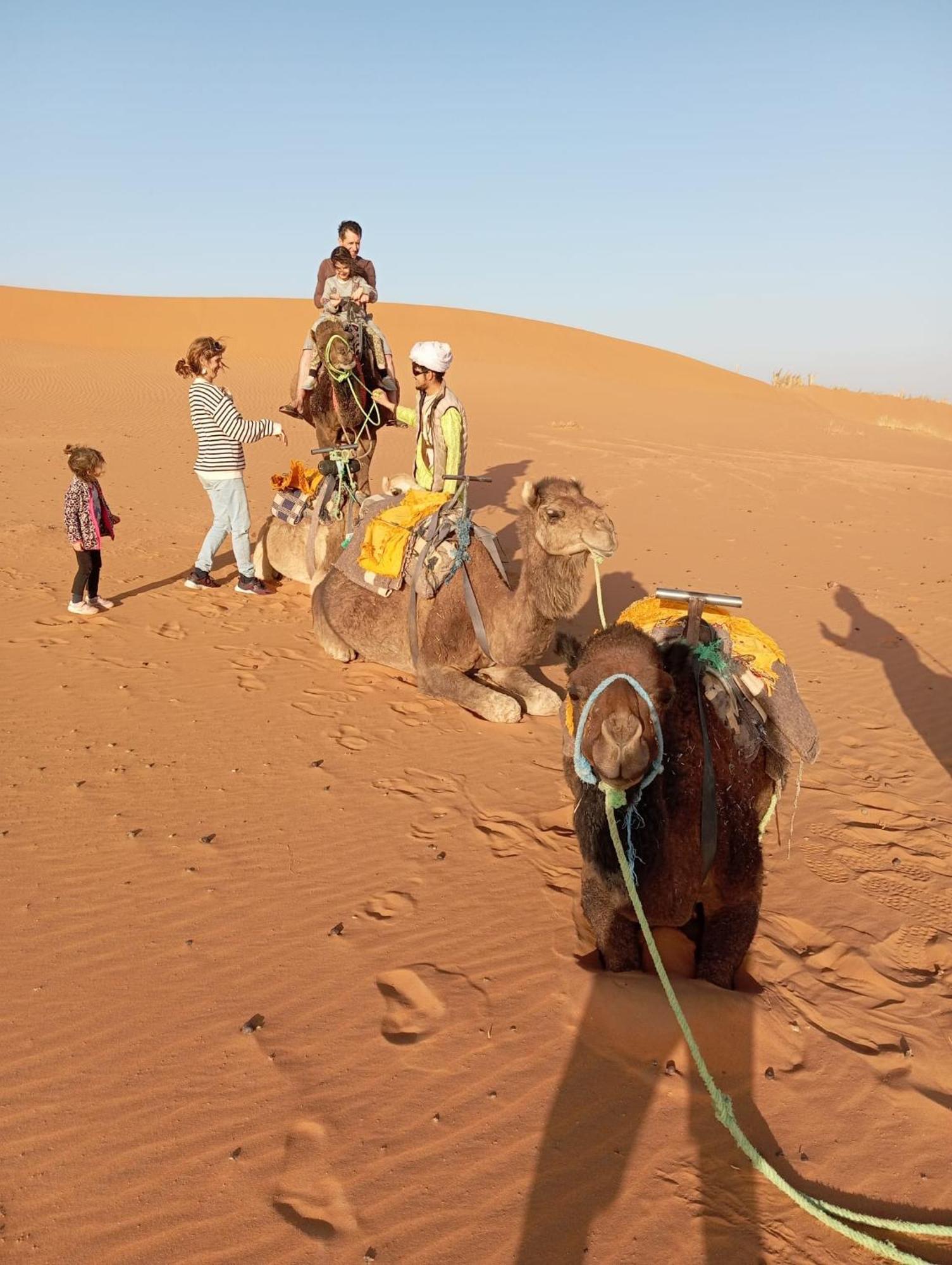 Luxury tent Tilili Desert Camp